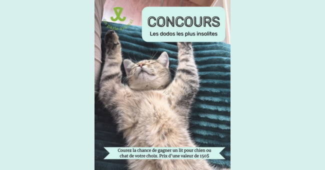 concours dodo comique lit animal